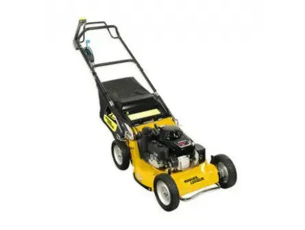 TONDEUSE ROQUES ET LECOEUR RL 8530 H EXPANSION MACHINES